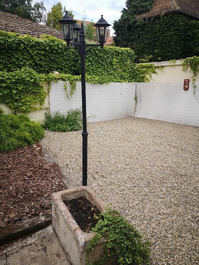 Appart 4 Pers Design Et Cosy Avec Jardin Au Coeur De セレスタ エクステリア 写真